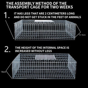 Evcil hayvan yetiştirme için güvercin yetiştirme güvercin kafesi için dayanıklı galvanizli çelik tel Mesh - Product Image 4