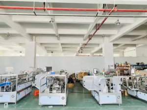 Different Products In 1 Bag Automatic Carton Machine