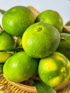 Appena raccolto da frutteti di Hubei, succoso e naturale, all'ingrosso alla rinfusa <span class=keywords><strong>mandarini</strong></span> per l'esportazione globale - Product Image 3
