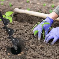 FEIDA Mèche de Tarière de Jardin pour la Plantation en Terre Meuble, le Forage de Légumes et la Personnalisation