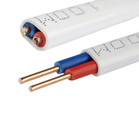 Kabel Listrik Tembaga 2 Inti Berisolasi PVC 4Mm Standar IEC untuk Penggunaan Dalam Ruangan