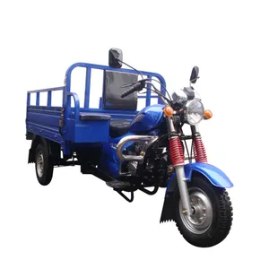 Profession ell hergestelltes dreirädriges Motorrad 150ccm Gas Trade Agricultural Cargo Dreirad