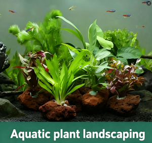 Bloque <span class=keywords><strong>de</strong></span> <span class=keywords><strong>piedra</strong></span> volcánica negra multiapertura granular para decoración <span class=keywords><strong>de</strong></span> peceras uso Exterior que absorbe bacterias dañinas metales pesados - Product Image 5