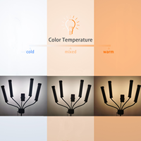 Lampe à cils LED professionnelle pour la beauté des cils, lampe de tatouage, anneau lumineux à 4 bras pour le maquillage, la photo et la vidéo