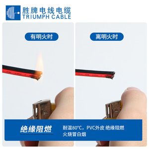 2468 Red And Black Ribbon Cable 2 Core 24 22awg Copper Conductor Pvc Insulation For Lighting Fixtures Led Strip Wiring - Product Image 3