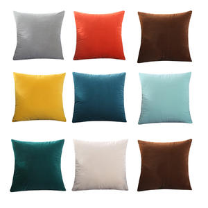 <span class=keywords><strong>Housse</strong></span> <span class=keywords><strong>de</strong></span> coussin carrée en velours, taie d'oreiller douce <span class=keywords><strong>de</strong></span> couleur unie, personnalisée, pour salle, vente en gros, nouvelle collection - Product Image 4