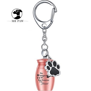 Urnes funéraires écologiques en acier inoxydable pour cendres d'animaux, mini urnes métalliques pour petits chiens, urnes commémoratives pour animaux de compagnie, personnalisables DEM/DOM disponibles - Product Image 4