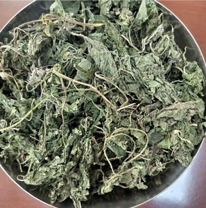 Prix usine séché feuille d'ortie chinois à base de plantes saines feuilles d'ortie thé - Product Image 2