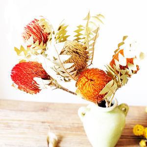 Fleurs décoratives de style nordique, 1 pièce, séchées, plantes, amplification pour arrangement floral, été - Product Image 6