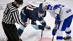 Palos <span class=keywords><strong>de</strong></span> Hockey sobre Hielo <span class=keywords><strong>de</strong></span> Fibra <span class=keywords><strong>de</strong></span> Carbono Personalizados <span class=keywords><strong>de</strong></span> Alto Rendimiento, Ligeros y <span class=keywords><strong>de</strong></span> Alta Calidad para Adolescentes, Adultos y Atletas Profesionales - Product Image 5