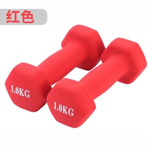 <span class=keywords><strong>Mancuernas</strong></span> de Hierro Fundido con Revestimiento de Goma <span class=keywords><strong>para</strong></span> Mujer, Multicolor, Aparato de Relajación Muscular - Product Image 6