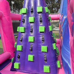 Château gonflable à thème du <span class=keywords><strong>Pays</strong></span> <span class=keywords><strong>des</strong></span> <span class=keywords><strong>Merveilles</strong></span> avec toboggan, motifs Chat Bleu et Princesse, 7x5m, pour fêtes d'enfants - Product Image 4