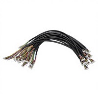 Kit Kabel Harness Pabrik Kustom Pemasok Cina Terminal Kabel Industri Presisi Adaptor PVC Konektor Harness Kabel Betina