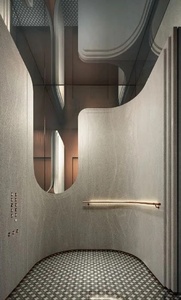 Ascenseur panoramique haut de gamme pour la maison avec un design moderne, des options personnalisables et des fonctionnalités de tourisme - Product Image 6