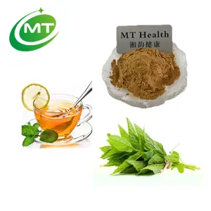 Best Quality Good Price Mint Tea Extract Powder Organic Mint Leaf Extract