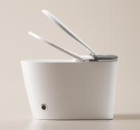 Toilette intelligente de luxe DOLOGI avec bidet japonais siège de télécommande chauffage femelle lavage autonettoyant fonction intelligente