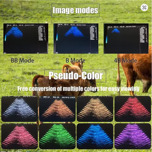 Escáner de Ultrasonido Veterinario Portátil, Máquina de Diagnóstico de Gestación Veterinaria B-Ultra (B, <span class=keywords><strong>BB</strong></span>, 4B, B+M, M) para Cerdos, Ovejas, Ganado, Caballos y Perros - Product Image 4