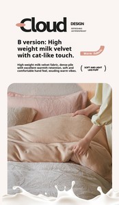 Ensemble de couette quatre pièces en molleton de lait épais, sculpté, luxe léger, haut de gamme, résistant à l'eau, 300 fils, rembourrage en laine, chaud pour l'hiver - Product Image 4