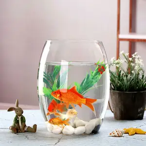 Großhandel Günstige Home Decor Herzstück Clear Aquaponics Aquarium Glas Fischs chale