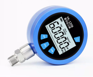 उच्च परिशुद्धता 0.02 स्तर के डिजिटल दबाव गेज पानी हाइड्रोलिक डिस्प्ले दबाव गेज - Product Image 4