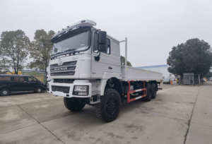 Camion Camion <span class=keywords><strong>Prix</strong></span> Cargo Camions Fabrication en Chine Nouveau Shacman 10 roues Moteur diesel de puissance Camion Cargo <span class=keywords><strong>Camionnette</strong></span> - Product Image 2