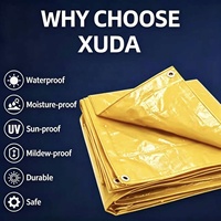 Bâche en toile PE imperméable Xuda de 0,2 mm d'épaisseur, résistante aux UV, à l'huile et à la chaleur, vente en gros, Chine
