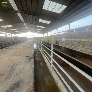 Système complet <span class=keywords><strong>de</strong></span> plancher à lattes pour ferme ovine <span class=keywords><strong>de</strong></span> 3000 moutons, incluant des lattes en plastique vert et des poutres <span class=keywords><strong>de</strong></span> <span class=keywords><strong>support</strong></span> en acier galvanisé pour ferme ovine - Product Image 6