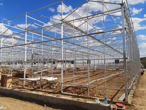 Ventes d'<span class=keywords><strong>occasion</strong></span> sur mesure en usine et serres agricoles à travées multiples avec structures en polycarbonate - Product Image 2