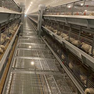 Équipement d'élevage avicole automatique 3 niveaux 60 poulets, cage à batterie <span class=keywords><strong>pour</strong></span> poulets de chair et poules pondeuses - Product Image 1