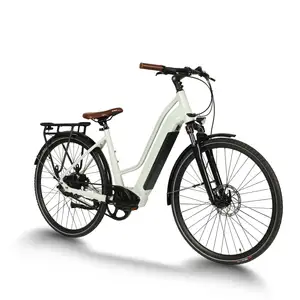 绿色环保新材料36v 350w ebike城市自行车电动自行车女性带电池