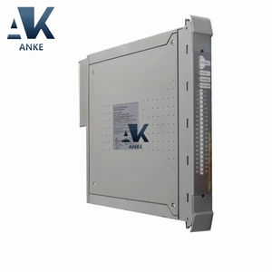 Módulo de entrada analógica de 40 canales T8431C ICS Triplex - Product Image 1