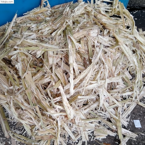 Pellets de Bagazo de Caña de Azúcar de Proveedor Vietnamita, Productos Populares para Importación y Exportación a Precio Económico - Product Image 1