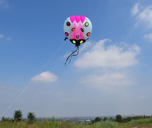 <span class=keywords><strong>Cerf</strong></span>-<span class=keywords><strong>volant</strong></span> géant en forme d'insectes 3D, design pieuvre gonflable, performance nocturne en extérieur, LED clignotantes haute luminosité - Product Image 3