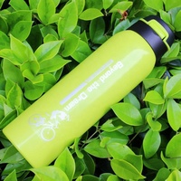Bouteille d'eau isotherme personnalisée en acier inoxydable de 500 ml avec paille, maintien au chaud 24h pour le cyclisme