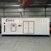 Générateur électrique Cummins super silencieux de 1 MW 1000 KW au GPL, au gaz naturel, au biogaz, au gaz synthétique, certifié CE