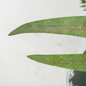 Arbre de Noël de table en peluche d'intérieur Co-Arts - Product Image 4