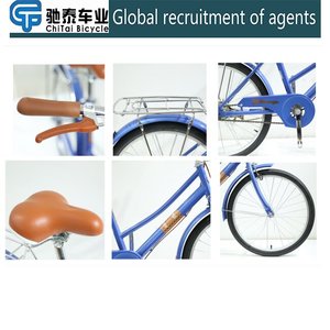 Bicicletta classica esterna con telaio in acciaio ad alto tenore di carbonio verniciato con cerchio in lega di alluminio 24-26 pollici - Product Image 3