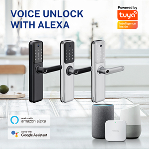 ขายส่ง ล็อคประตูอัจฉริยะคุณภาพสูง ดิจิตอล WiFi TTlock Tuya APP สแกนลายนิ้วมือ รหัสผ่าน กุญแจกลไก สมาร์ทล็อค - Product Image 5