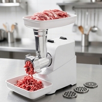 Hachoir à viande électrique à interrupteur unique 600 W max, moteur en cuivre et aluminium, 3 plaques, tube à saucisses, fonction inversée, pour usage domestique