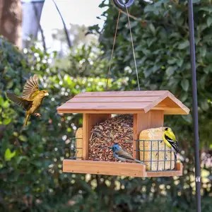 Doppia finestra di plastica da appendere all'aperto cedro casa mangiatoia per uccelli in legno intelligente