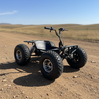 Go Kart Eléctrico Todoterreno, Mini Buggy con Manillar para Adultos, Llantas Grandes de 10 Pulgadas, Buggy de un Solo Asiento con Motor sin Escobillas y Batería de Litio