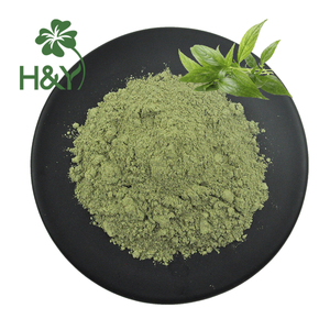 Suplemento Herbal al por Mayor, Polvo Puro de Andrographis <span class=keywords><strong>Paniculata</strong></span> - Product Image 1