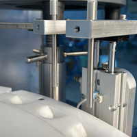 Équipement de remplissage, de bouchage et de scellement automatique de bouteilles en verre jetables préremplies, machine de remplissage sous vide