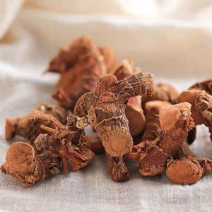 Rizoma de Galangal Seco Entero, Hierba Calentadora China, Especias Aromáticas para Cocinar, Especias Picantes para Aderezos Tom Yum - Product Image 2