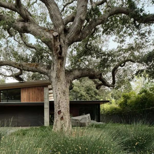 Sanhai การออกแบบภูมิทัศน์แผนแม่บท3D สวนบ้านแสดงผลได้สูงสุดด้านหน้าหลังลานรายละเอียดแผนพื้นแบบร่างเป็นมิตรกับสิ่งแวดล้อม - Product Image 1