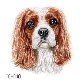 CC010