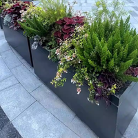 Jardinière sur mesure en acier inoxydable 316 robuste au design moderne pour aménagements paysagers municipaux, jardins sur toits commerciaux et décoration intérieure