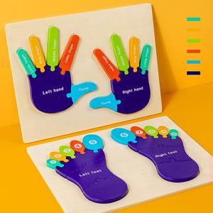 Jouet éducatif Montessori aides pédagogiques pour la maternelle cognitif main en bois pied paume apprentissage Structure corporelle Puzzle Board - Product Image 2