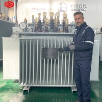 Transformateur de puissance industriel immergé dans l'huile, triphasé 6,6 kV 415 V, à double enroulement, 50 kVA, 100 kVA, 150 kVA, 250 kVA