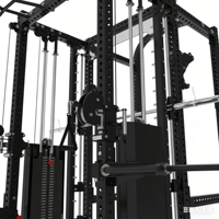 POWER TIGER Rack de Squat Personnalisé avec Machine Smith et Câbles Tout-en-un, Appareil d'Entraînement Multifonctionnel
